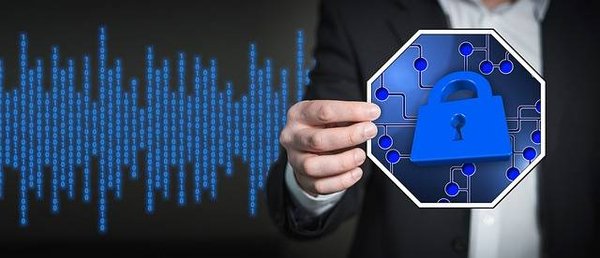 Comment sécuriser votre entreprise et protéger vos données